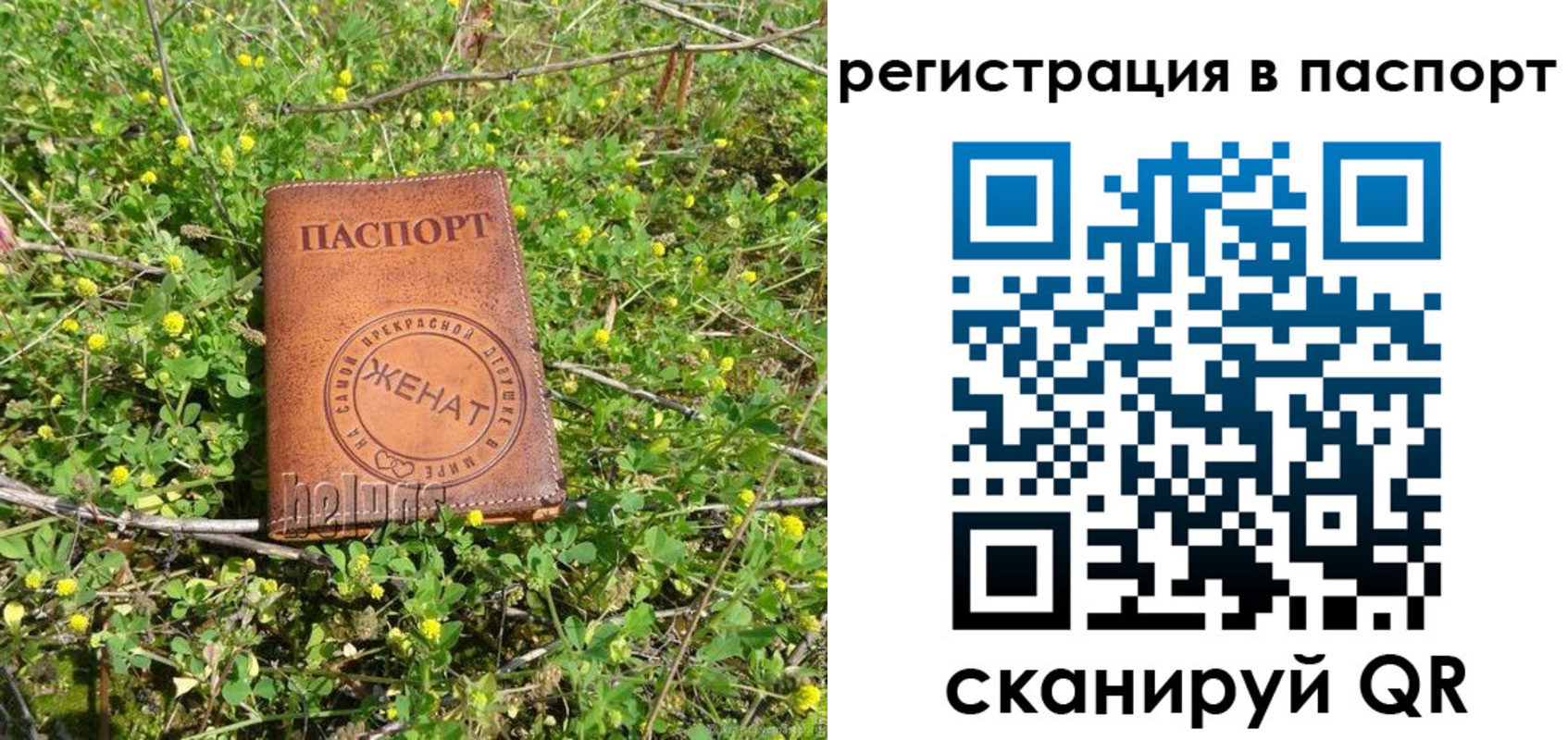 прописка законно в Заволжске